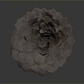 Close Up View Of Natural Pine Cone With Detailed Texture On Dark Background