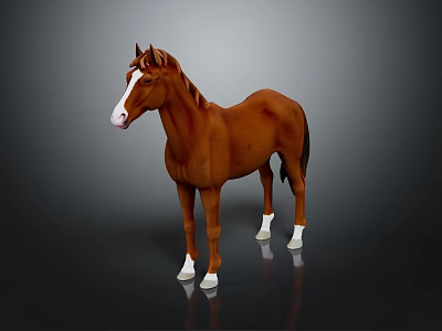 Realistic Brown Horse With White Face And White Hooves Standing On Dark Background 3d model