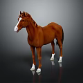 Realistic Brown Horse With White Face And White Hooves Standing On Dark Background
