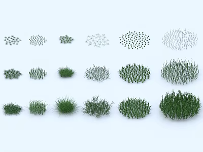 Different Types of Green Grass Plants with Various Textures and Natural Shapes 3d model