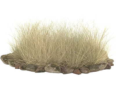 Lush Ornamental Grass Clump Growing With Surrounding Natural Stones In Garden Landscape 3d model