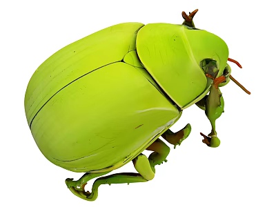 Green Reptile Showcasing Vibrant Green Color And Detailed Exoskeleton In Close Up Shot 3d model