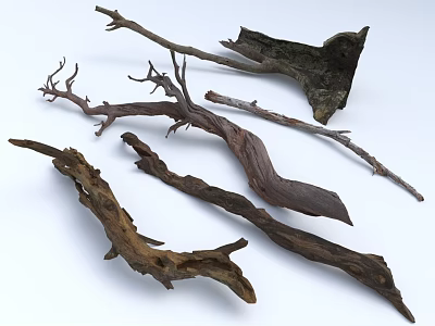 Natural Wood and Stone Decorative Pieces with Rustic Branches Roots and Wooden Elements 3d model