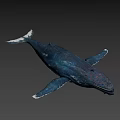 Realistic Blue White Whale with Textured Skin in Gradient Background