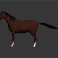 Red Horse Standing With Black Mane Tail And White Hooves On Gray Background