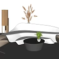Modern White Sofa and Black Coffee Table Set with Beige Chairs and Plant Decor