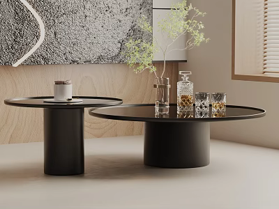 Modern Sofa and Coffee Table Set with Round Black Tables Decorative Items and Green Plant 3d model