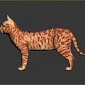 Orange Tabby Cat in Standing Position on Reflective Surface with Detailed Fur Patterns 3d model