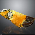 Cooked Crab Claw with Vibrant Orange Shell and Brown Tip on Black Reflective Surface 3d model