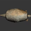 Armadillo With Scaly Shell In Walking Posture On Smooth Dark Surface 3d model