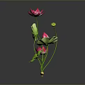 Pink Lotus Shaped Dessert With Green Leaf Decor On Black Background