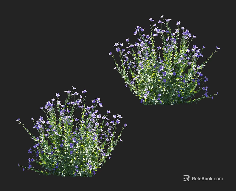 Purple Flowering Plants With Lush Green Leaves Blooming Vibrantly In Natural Outdoor Setting 3d model 