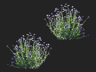 Purple Flowering Plants With Lush Green Leaves Blooming Vibrantly In Natural Outdoor Setting 3d model