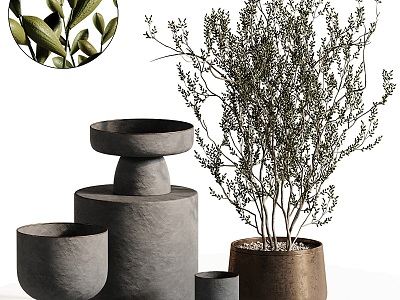 Green Plant Vase Combination model