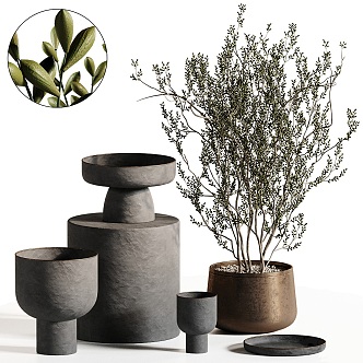 Green Plant Vase Combination 3d model