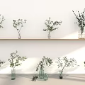 Different Glass Vases Holding Natural Greenery Arranged On Wooden Shelf Against White Background