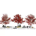 Modern Tree Landscape Tree Autumn Arbor Maple 3d model