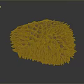 Ripe Brown Durian Fruit With Spiky Exterior And Fresh Tropical Appeal