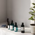 Minimalist Perfume Cosmetics Bottles In Dark Teal Tones On White Surface With Green Plant