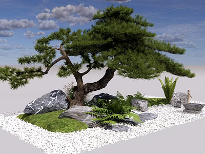 Chinese Pine Landscape Pine Zen Pine Courtyard Pine Welcome Pine 3d model