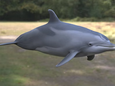 Gray Aquatic Dolphin With Sleek Body Swimming In Natural Marine Environment 3d model
