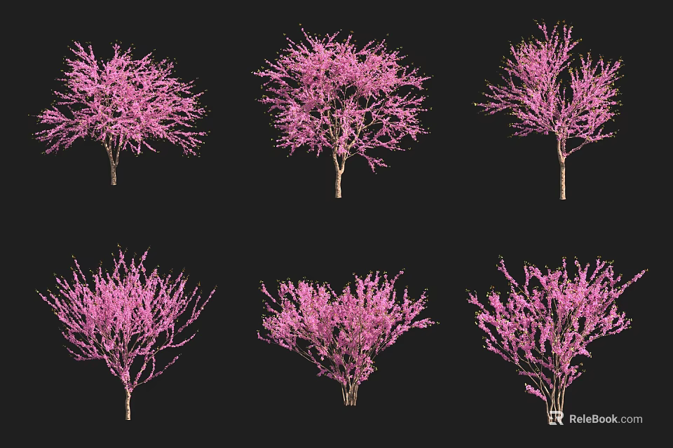 Arbor Trees with Pink Flowers Showcased in Various Forms on Black Background 3d model