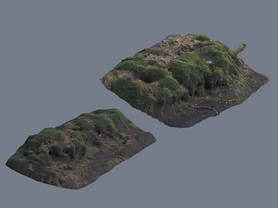 Natural Garden Landscape With Moss Covered Mounds Rocky Terrain And Green Grass 3d model