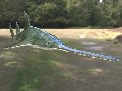 Green Sawfish Aquatic Animal With Long Serrated Rostrum In Outdoor Grassy Field With Trees 3d model