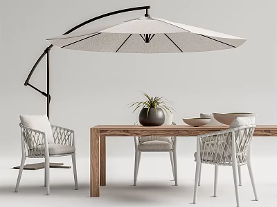 Outdoor Table and Chairs Set Wooden Top White Woven Chairs Umbrella Plant and Bowls 3d model