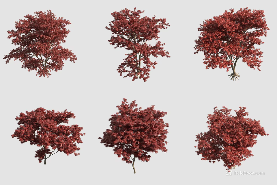 Red Foliage Arbor Trees In Various Natural Shapes And Growth Forms 3d model 