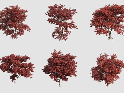 Red Foliage Arbor Trees In Various Natural Shapes And Growth Forms 3d model