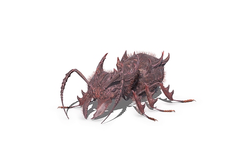 ant insect 3d model