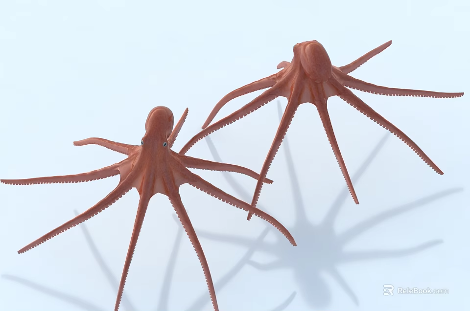 Detailed Two Brown Octopuses with Extended Tentacles on Light Blue Background 3d model 