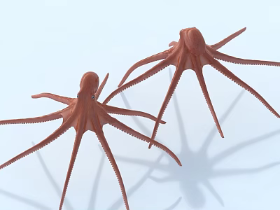 Detailed Two Brown Octopuses with Extended Tentacles on Light Blue Background 3d model