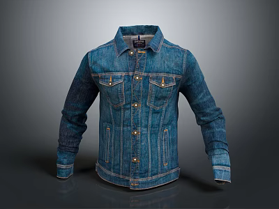 Stylish Classic Blue Denim Jacket With Buttoned Front And Side Pockets 3d model