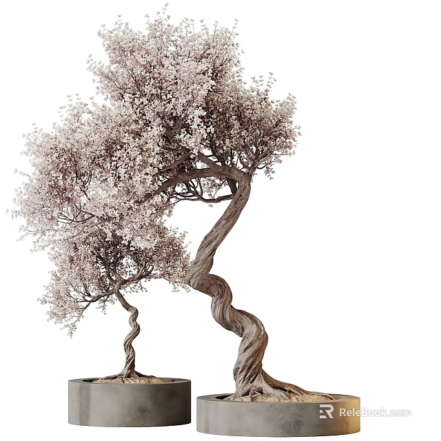 Decorative Bonsai Plant With Curved Trunk And Pink Blossoms In Black Pot 3d model 