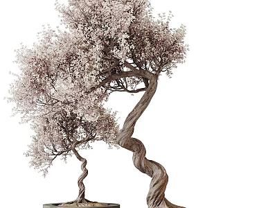 Decorative Bonsai Plant With Curved Trunk And Pink Blossoms In Black Pot 3d model