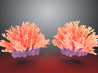 Modern Red Coral Grass Coral Coral Reef Seaweed Seaweed Seafloor Coral Marine Plants Seafloor Material Beautiful Chen 3d model