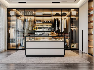 Modern Walk in Closet Interior Design With Glass Doors Storage Cabinets And Hanging Clothes 3d model