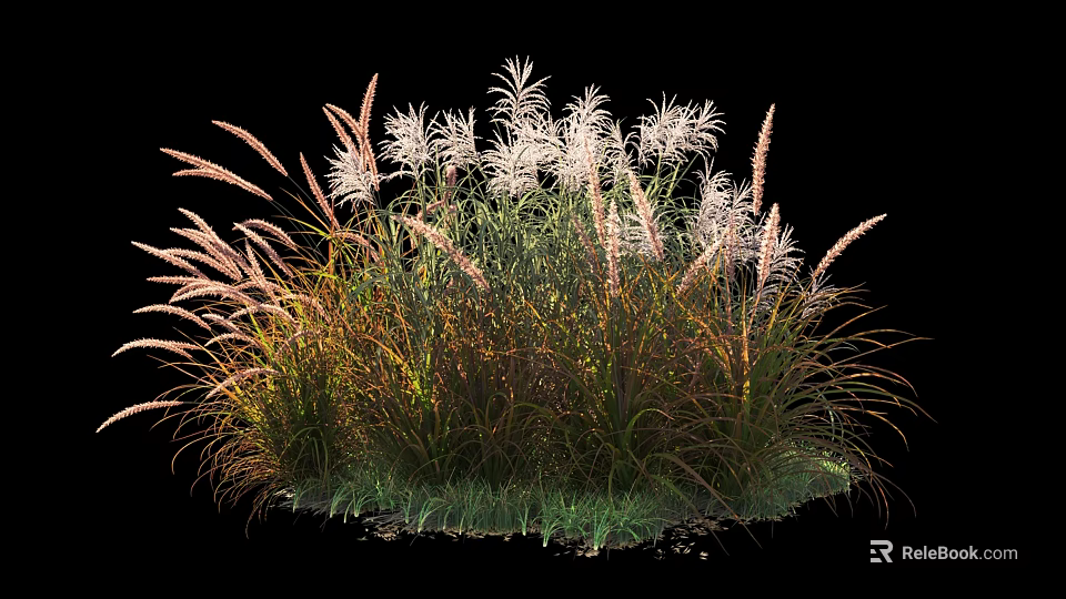 Ornamental Garden Shrubs With Colorful Foliage And White Plumes For Landscaping 3d model 