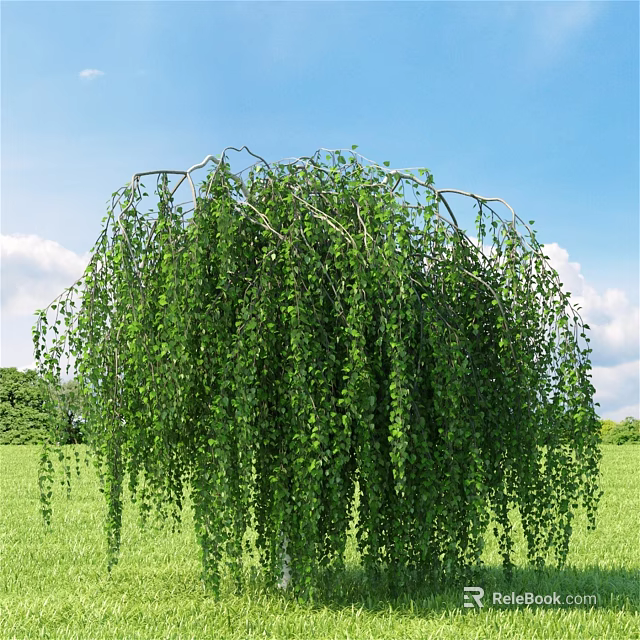 Weeping Willow Tree With Hanging Green Leaves Against Blue Sky And Green Meadow 3d model 