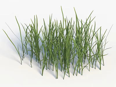 Grass 3d model Grass 3d model