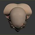 Intricate Metallic Facial Mask On Mannequin Head With Detailed Design