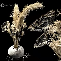 Light Toned Decorative Ornament Set With White Vase And Dried Flowers