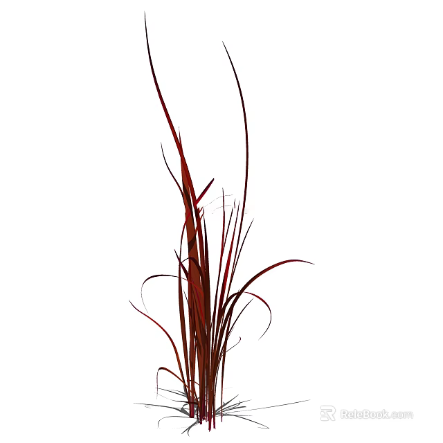 Vibrant Red Ornamental Grass with Long Slender Curved Leaves for Garden Decor 3d model 