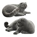 Modern Cat Short-haired Cat Blue Cat Pet Cat Small Animal Kitten 3d model