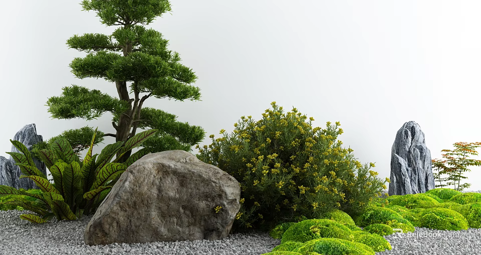 Japanese Style Courtyard Garden With Pine Tree Large Rock And Yellow Flowering Bushes 3d model 