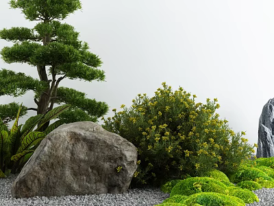 Japanese Style Courtyard Garden With Pine Tree Large Rock And Yellow Flowering Bushes 3d model