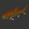 Modern Fish Carp 3d model