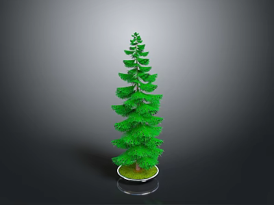 Green Potted Pine Tree on Black Tabletop With White Base Against Gray Background 3d model